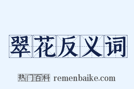 翠花反义词是什么意思的图片